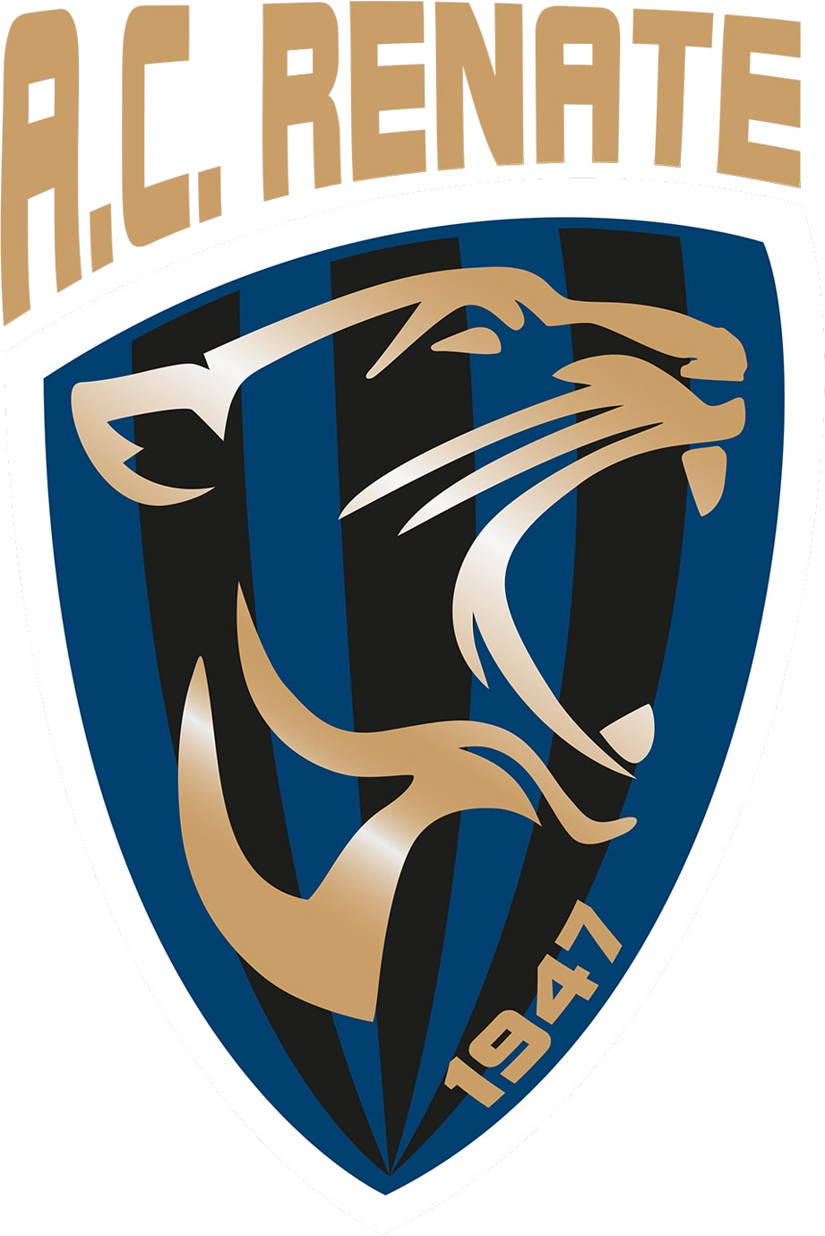 Associazione Calcio Renate
